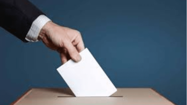 Renouvellement des instances de SeRViR : présentation des étapes à venir