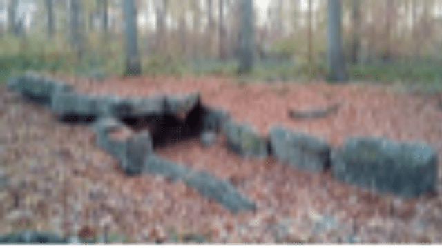 Randonnée du samedi 8 novembre 2025