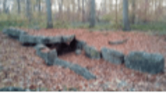 Randonnée du samedi 8 novembre 2025